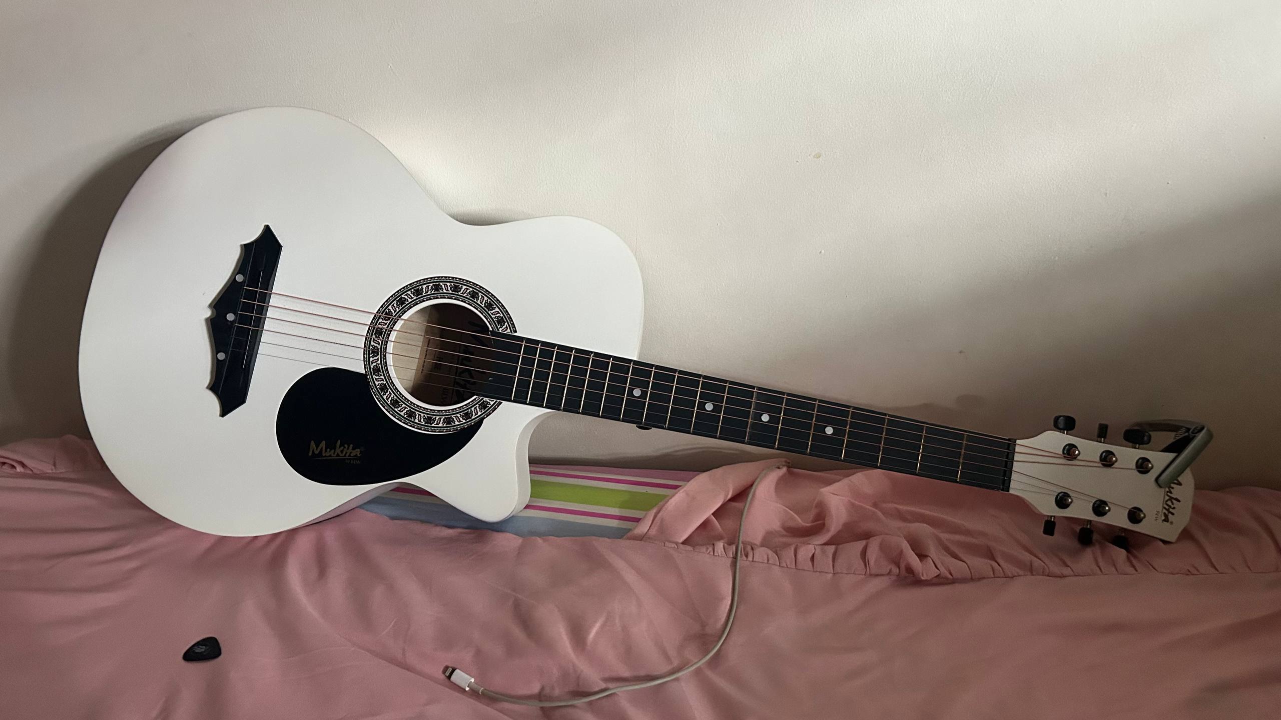 Learning the Guitar – The First 5 Months